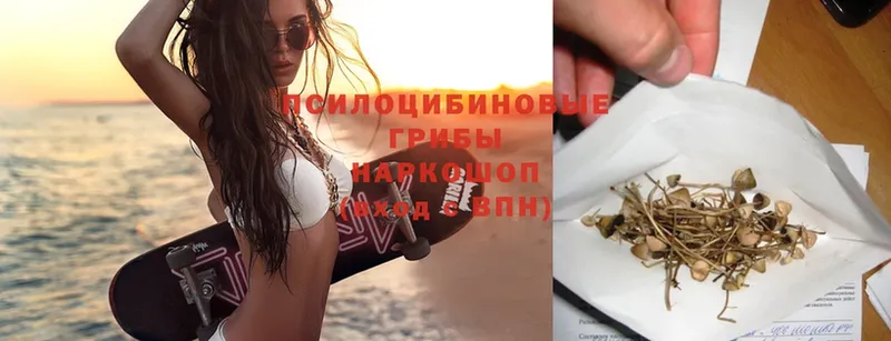 OMG онион  купить  сайты  Верещагино  Псилоцибиновые грибы Magic Shrooms 